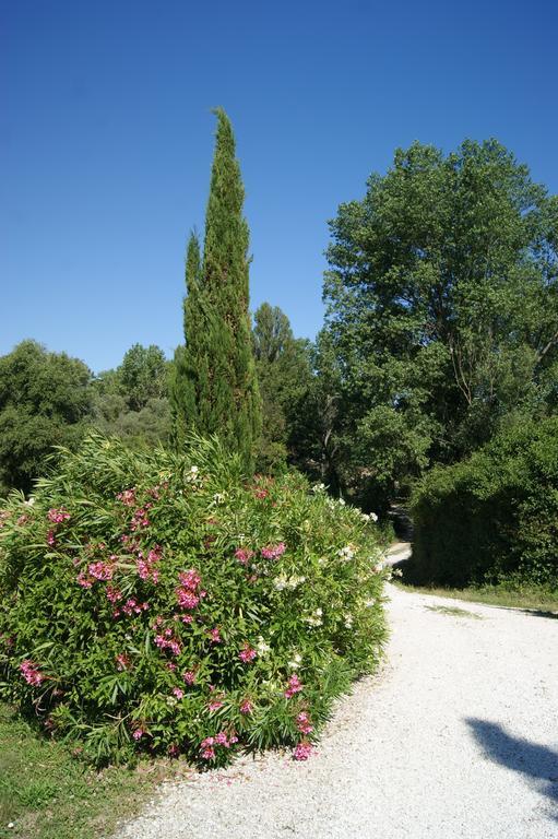 Casa Sorgente Bed & Breakfast San Costanzo Bagian luar foto
