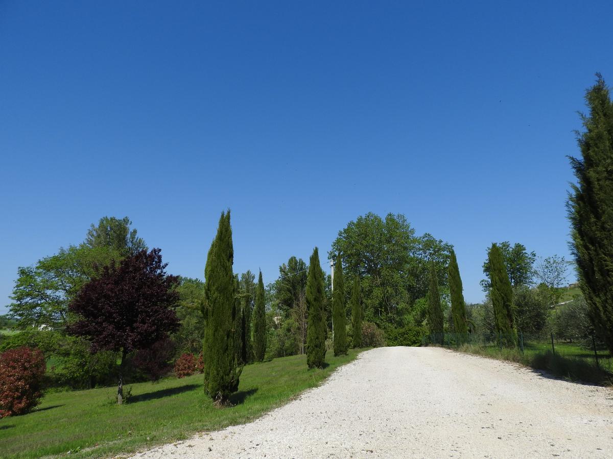 Casa Sorgente Bed & Breakfast San Costanzo Bagian luar foto